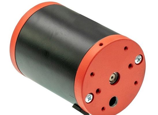 High Power Brushless Micro BLDC Gear Motor for Worm Gear Electric Car Stainless Steel