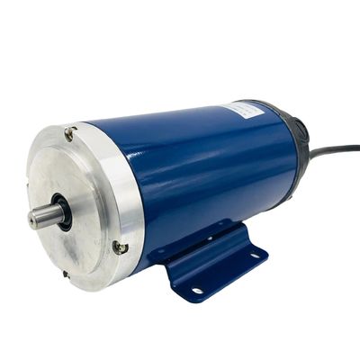 Treadmill Motor DC High Torque 3000 RPM Zyt 220V 110V 24V Permanent Magnet Efficiency