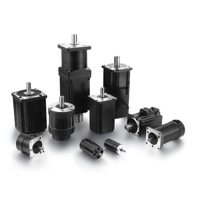 9 Torque Riorand 350W 6-60V PWM DC Brushless Electric Motor Smooth for Optimal Performance