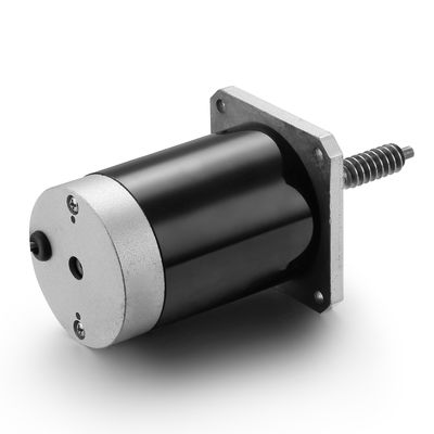 Adjustable Speed and Reverse 24V 100W Brushed DC Motor for Black Industrial Machinery