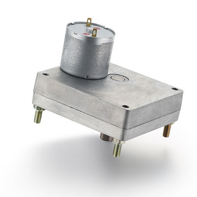 28mm 24v 7.73W Silver GEAR MOTOR High Torque Brush Gear DC Motor for Customization