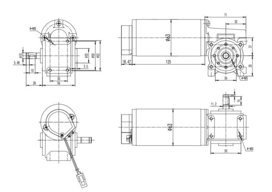High Torque 63mm Worm Gear Brushed DC Motor for Heavy-Duty Applications