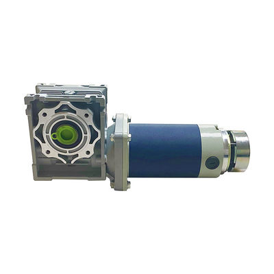 90mm Worm Gear DC Motor 250W 12V 24V D Shaft Type  50rpm YLP 80BL-154-3