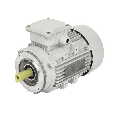 High Torque Asynchronous Induction Three-phase Single-phase Explosion-proof DC Motor