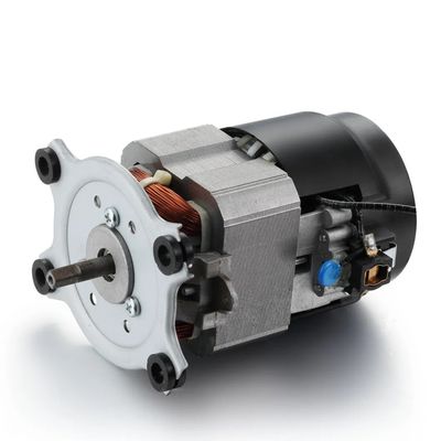 1KG DC Motors For Treadmill Automatic Doors Small Home Single-Phase Universal Motor