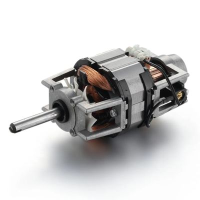 1KG DC Motors For Treadmill Automatic Doors Small Home Single-Phase Universal Motor