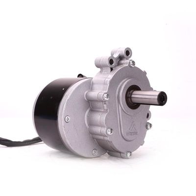 Brush Design 250W MY1016Z Wheelchair Motor with Deceleration and Electromagnetic Brake