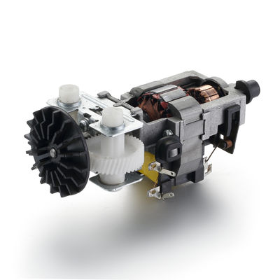 High Torque 830rpm 55mm 110v 220v 30W 50/60Hz AC Electric Motor for Professional