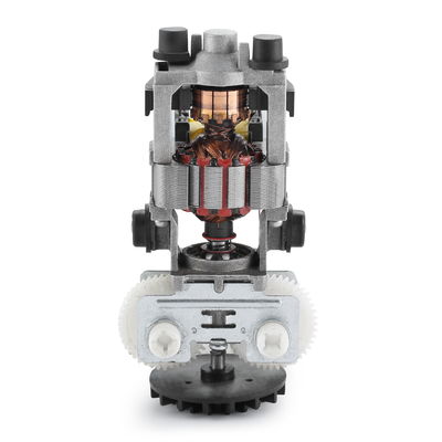 High Torque 830rpm 55mm 110v 220v 30W 50/60Hz AC Electric Motor for Professional