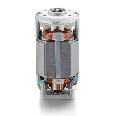 40w Rated Power AC Synchronous Universal Motor for 110v 220v Single Phase Electric Motor