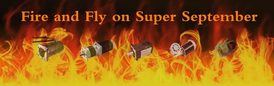 IE 2 Efficiency 5kw Brushless DC Motor for Electric Motorbike High Torque 1-80KG.CM