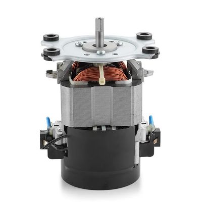 IE 1 Efficiency 110V 220V AC Treadmill Motor Machine 50/60Hz Single-Phase AC Motor