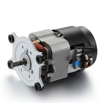 IE 1 Efficiency 110V 220V AC Treadmill Motor Machine 50/60Hz Single-Phase AC Motor