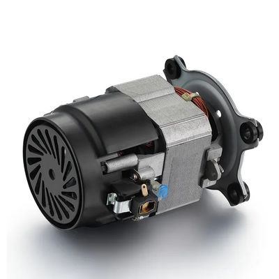 IE 1 Efficiency 110V 220V AC Treadmill Motor Machine 50/60Hz Single-Phase AC Motor