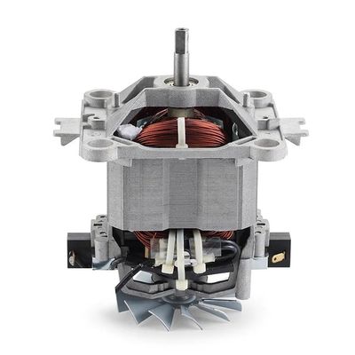 110v/220v Low Speed High Torque Treadmill Motor for and Rated Torque of 0.6N.m 0.7N.m