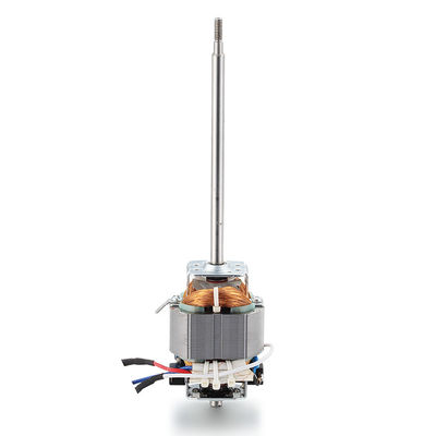 High Torque 110v 220v 100w 200w 300w AC Electric Motor for Treadmill Machine 10000rpm