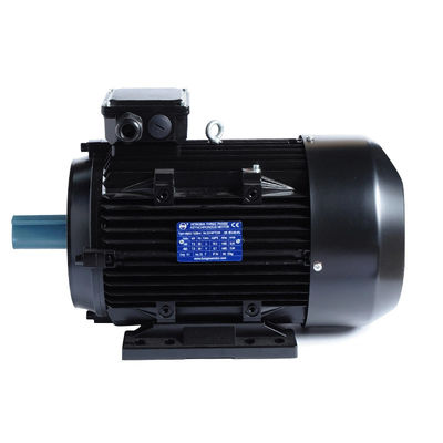 3 Phase Induction Motor Insulation Class F 2KG for Popular Washing Machine Water Pump