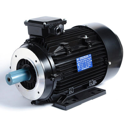 3 Phase Induction Motor Insulation Class F 2KG for Popular Washing Machine Water Pump