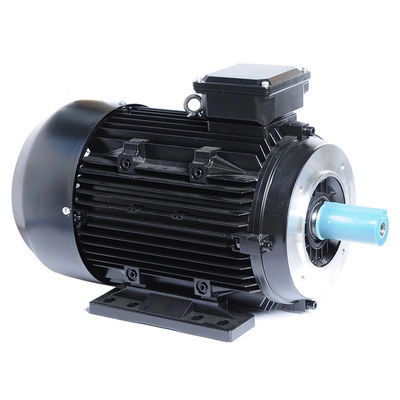3 Phase Induction Motor Insulation Class F 2KG for Popular Washing Machine Water Pump