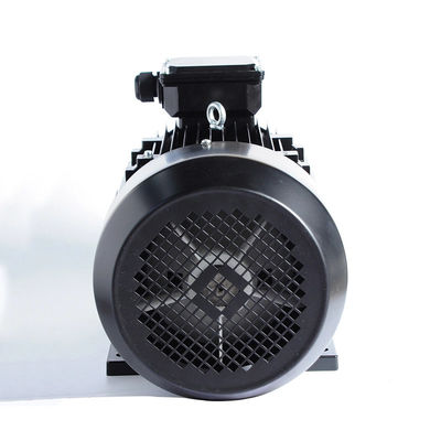 3 Phase Induction Motor Insulation Class F 2KG for Popular Washing Machine Water Pump