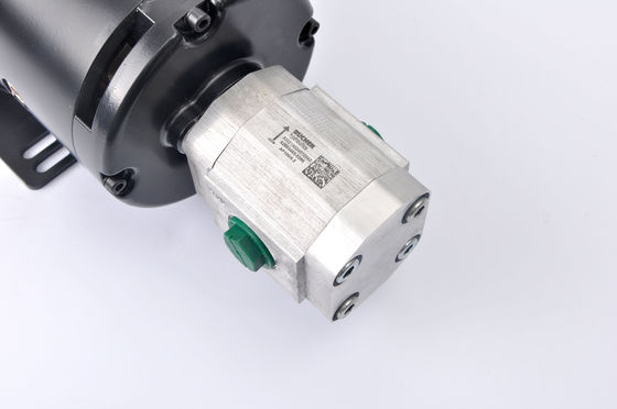 Garden Tools 24V 4KW High Torque DC Electric Motor ZD2973H with Gear Pump
