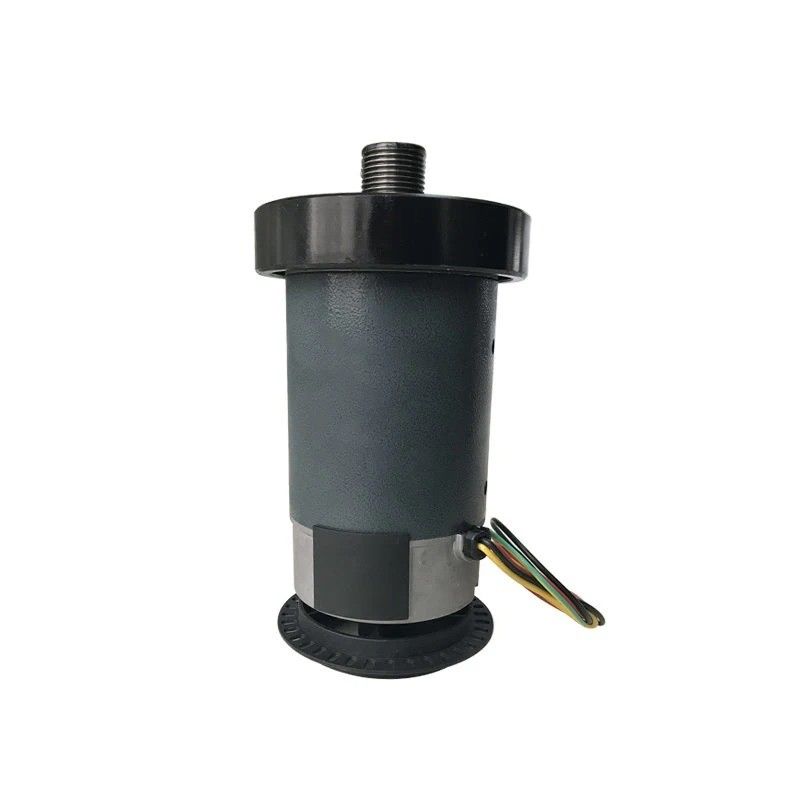 Permanent Magnet 12v 60w 60rpm 6n.m Electric Gear Box DC Motor for Electric Bicycle