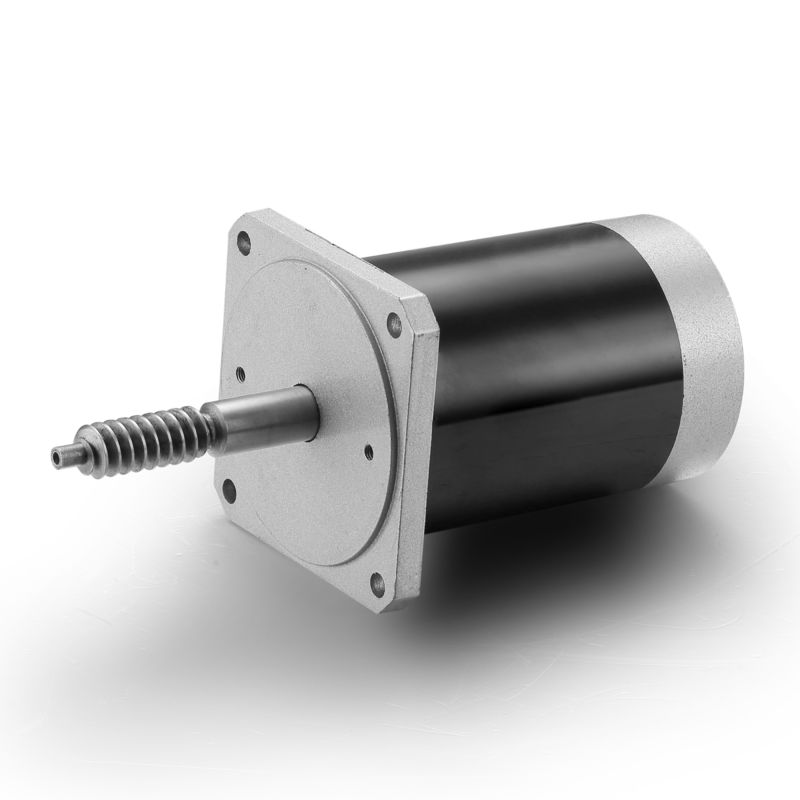 Adjustable Speed and Reverse 24V 100W Brushed DC Motor for Black Industrial Machinery
