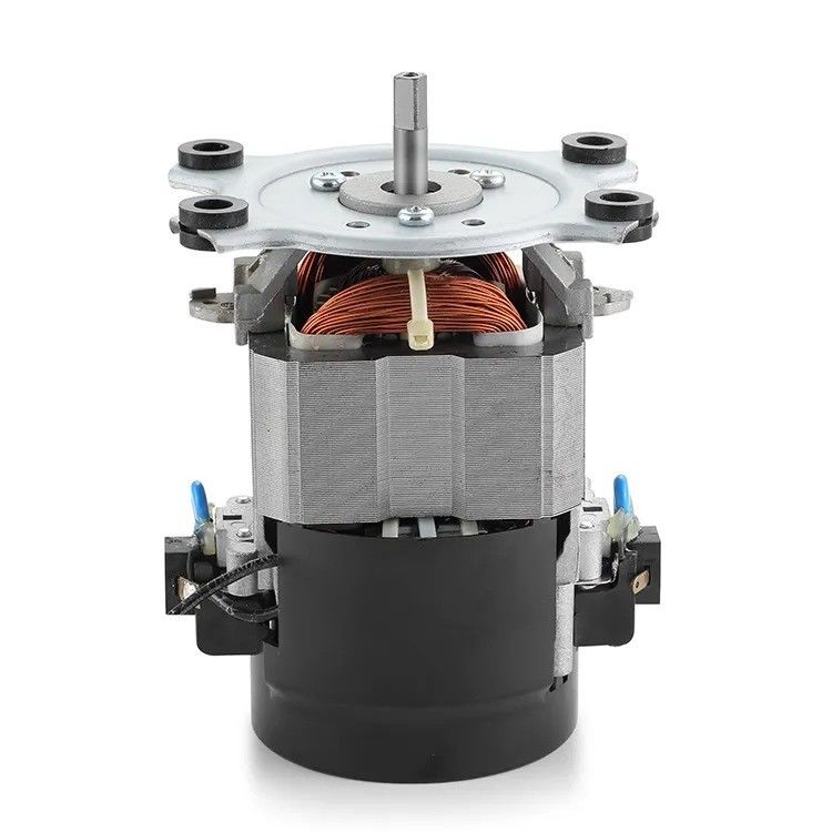 IE 1 Efficiency 110V 220V AC Treadmill Motor Machine 50/60Hz Single-Phase AC Motor