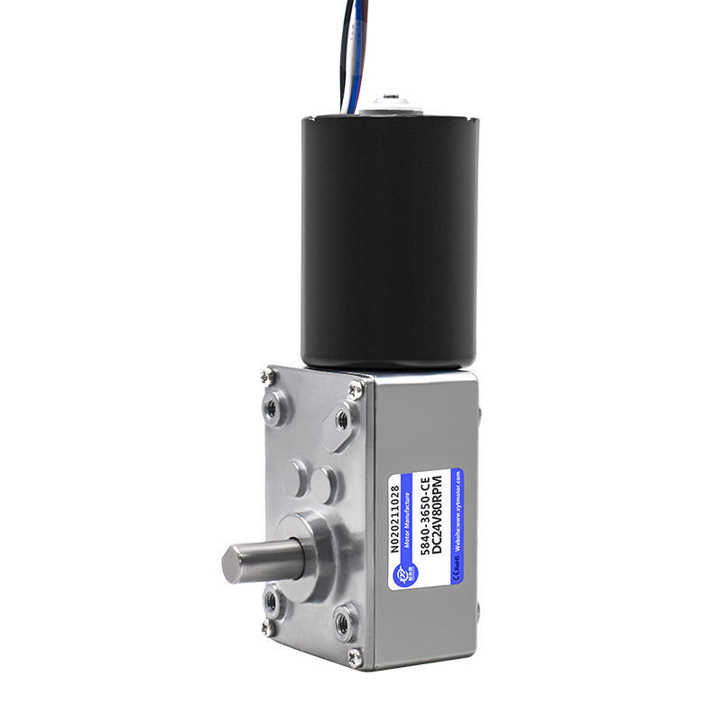 0.4KG 12V BLDC DC Turbine Worm Geared Speed Reducer Wheelchair Brushless Motor