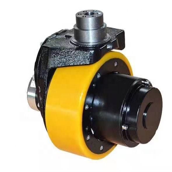 Customized Electric Vehicles Drive Wheel Assembly with 2KG Load Capacity and Dc Motor